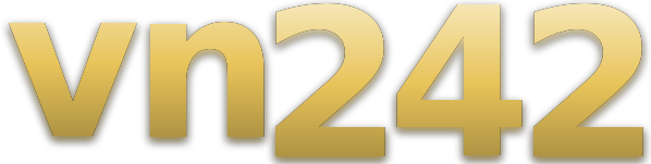 vn242 logo